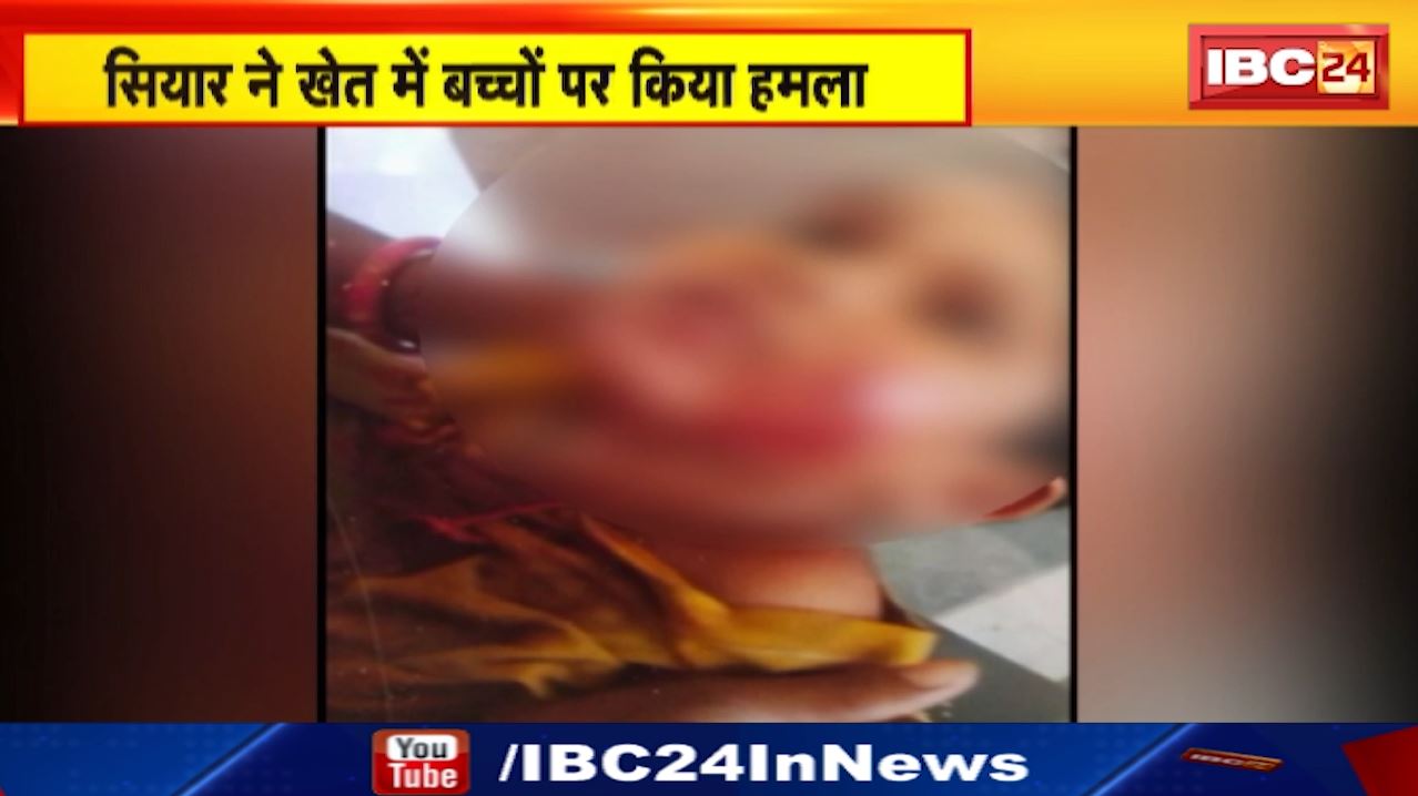 Gwalior Jackal Attack : सियार ने खेत में बच्चों पर किया हमला | उटीला आदिवासी का पुरा गांव का मामला