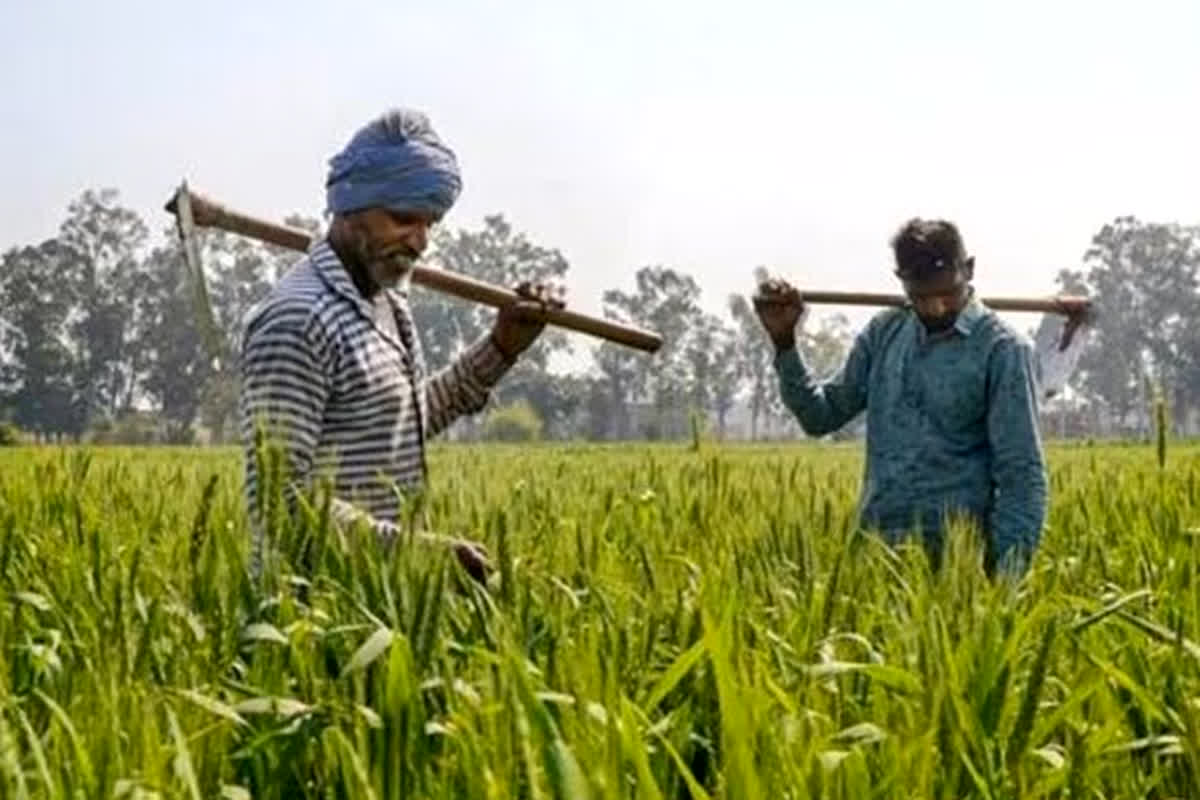 Government Scheme: किसानों के लिए खुशखबरी, सरकार ने किया ये बड़ा ऐलान, जानें 5 लाख तक का कैसे उठाएं लाभ…