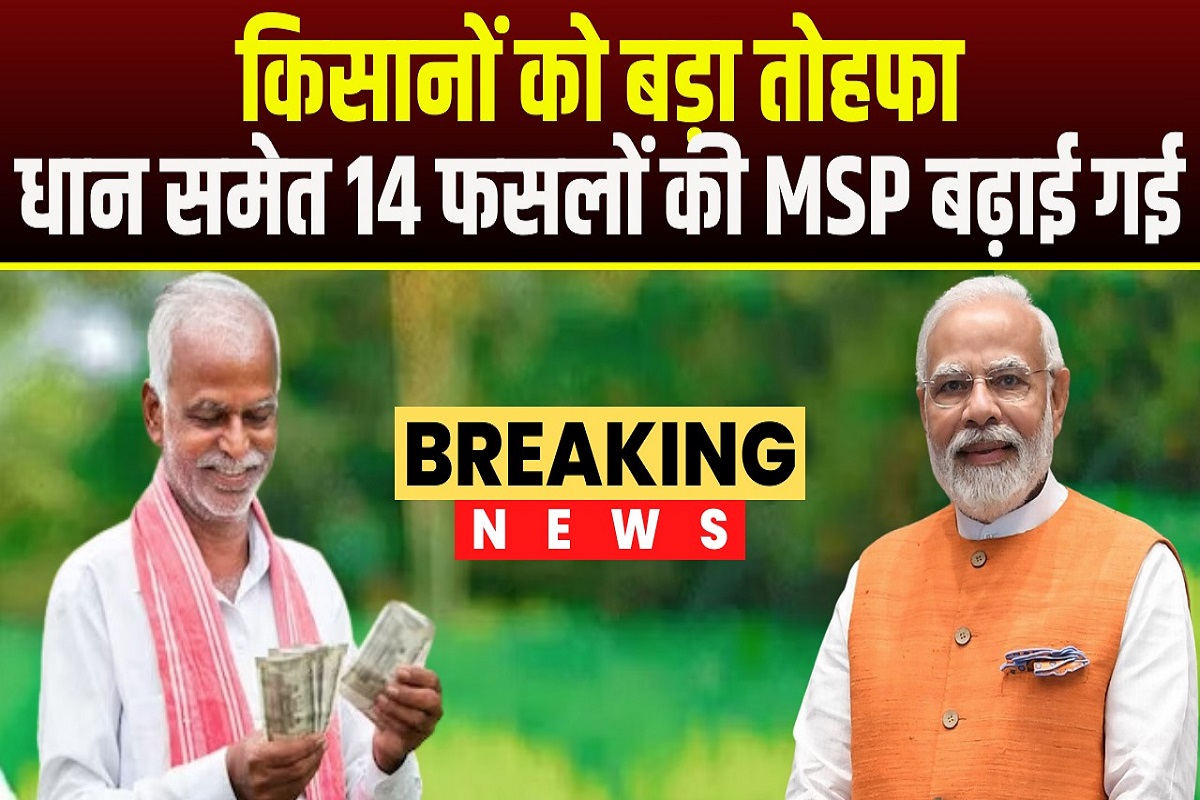 Paddy MSP Increase : किसानों को बड़ा तोहफा, धान सहित इन 14 फसलों की एमएसपी में बंपर बढ़ोतरी, अब इतने रुपए में खरीदेगी सरकार