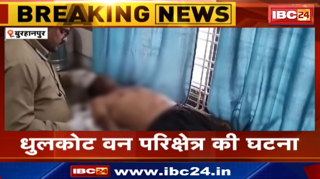 Leopard Terror in Burhanpur : तेंदुए के हमले से 3 लोग घायल | 1 व्यक्ति का कान काटा | धुलकोट वन परिक्षेत्र की घटना