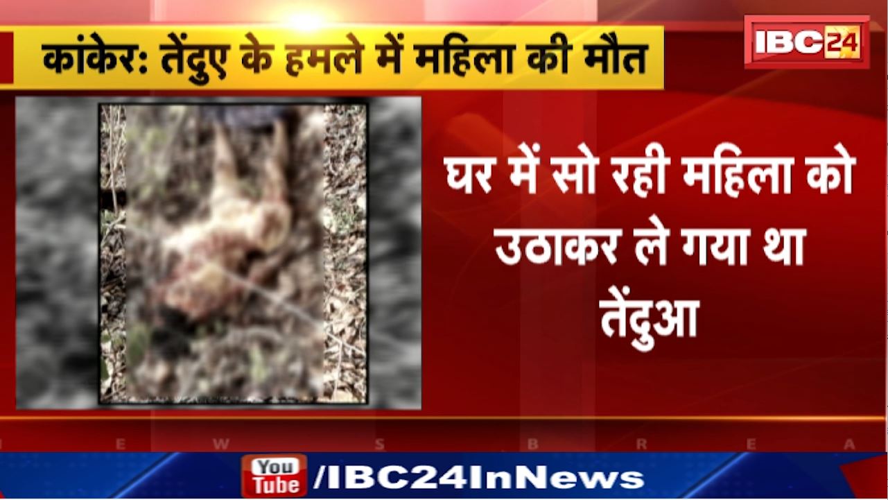 Leopard in Kanker : घर में सो रही महिला को उठाकर ले गया था तेंदुआ | 100 मीटर दूर क्षत विक्षत मिला शव