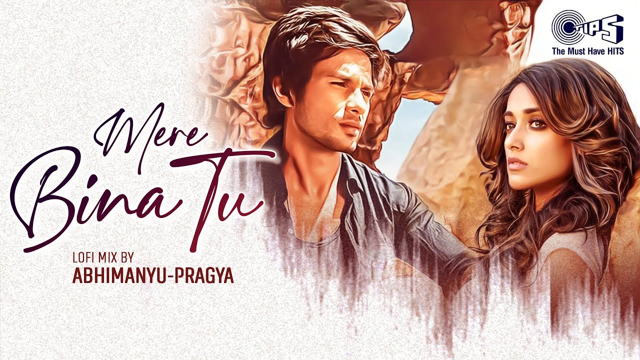 Mere Bina Tu Lofi Mix | Phata Poster Nikhla Hero |Shahid Kapoor, Ileana| Rahat Fateh Ali Khan,Pritam