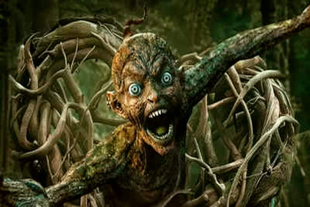 Munjya Box Office Collection