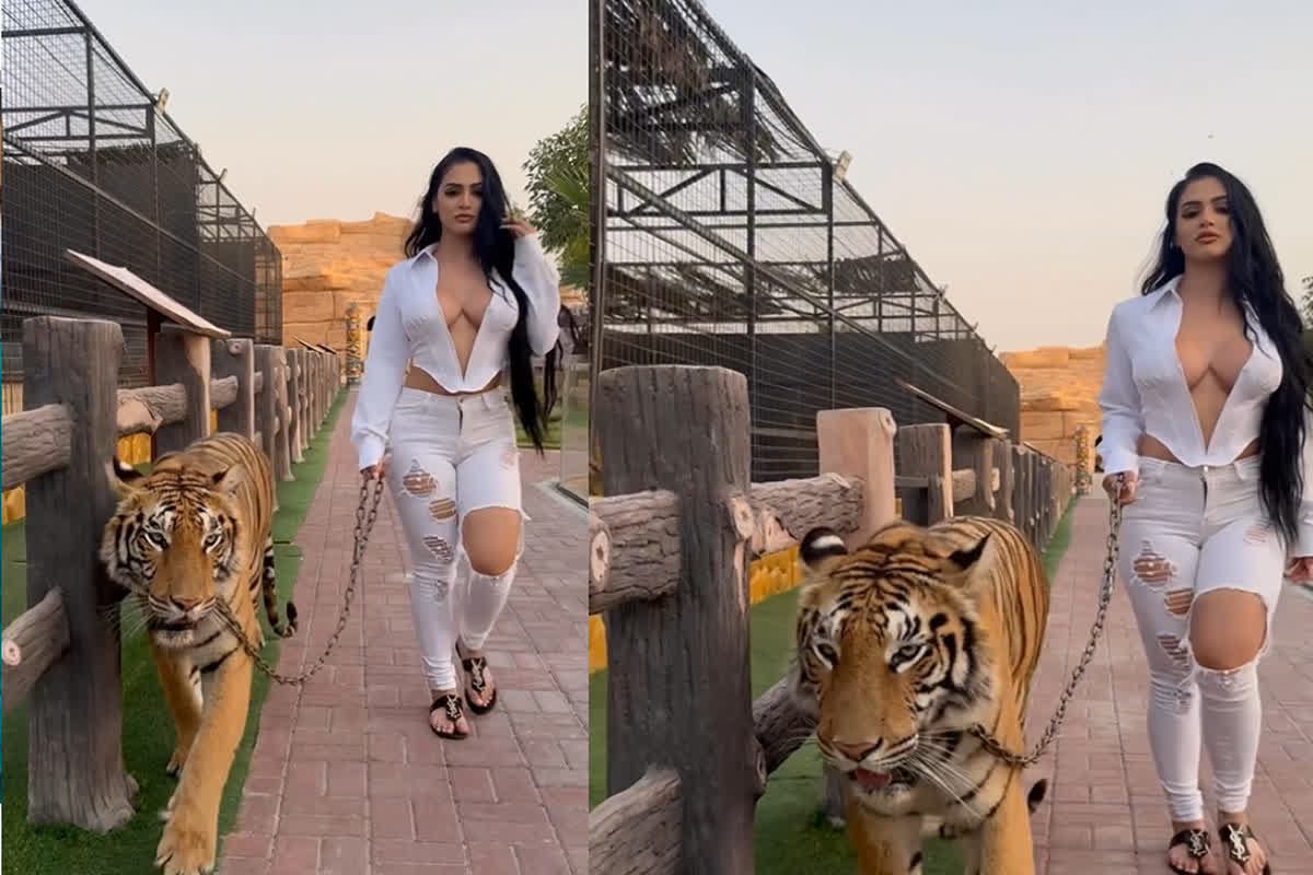 Actress with Tiger: दुबई की सड़कों पर बिना ब्रा पहने शेर के साथ घूमती नजर आई फेमस एक्ट्रेस, इंस्टाग्राम पर वीडियो आते ही मचा बवाल