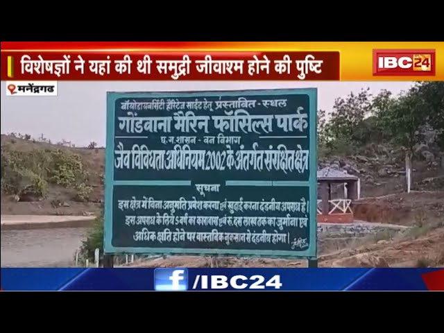 Manendragarh News: संवरने लगा छत्तीसगढ़ का पहला Fossils Heritage। संरक्षित करने 8 करोड़ का प्रोजेक्ट