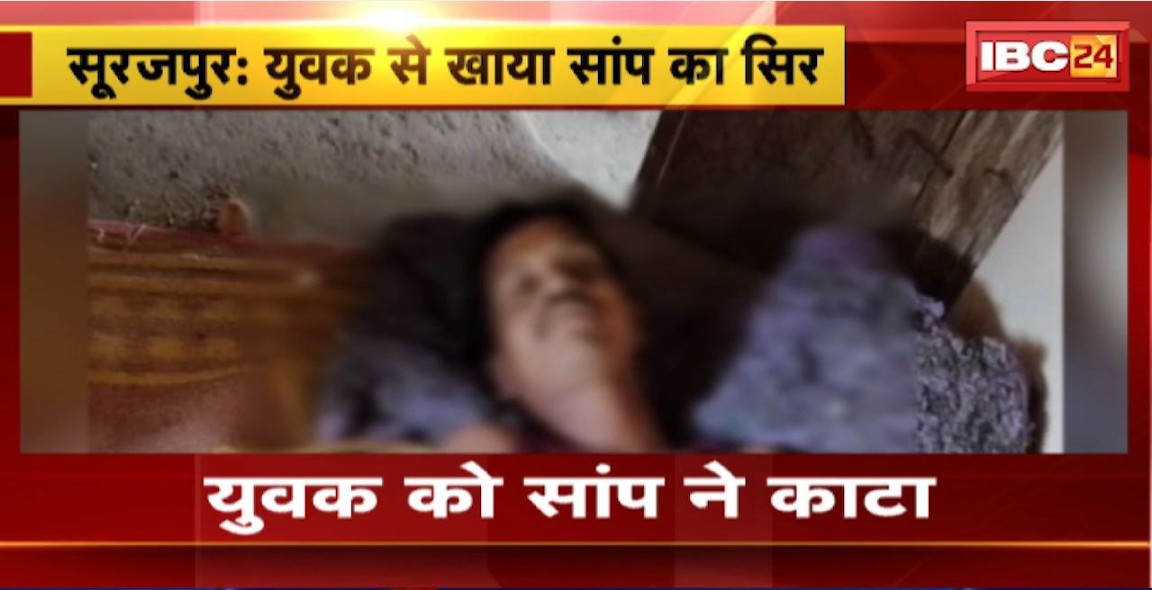 Surajpur News : युवक को सांप ने काटा। घटना के बाद युवक चबा गया सांप का सिर