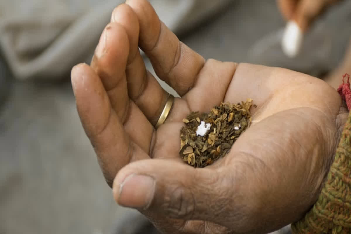 Ban on Tobacco Chewing: तंबाकू खाए तो खैर नहीं, प्रशासन ने बेचने पर ही नहीं खाने पर भी लगा दिया प्रतिबंध, जानिए क्या है वजह
