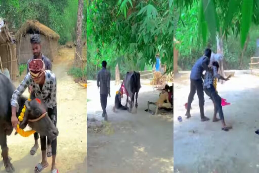 Young Man Married Buffalo