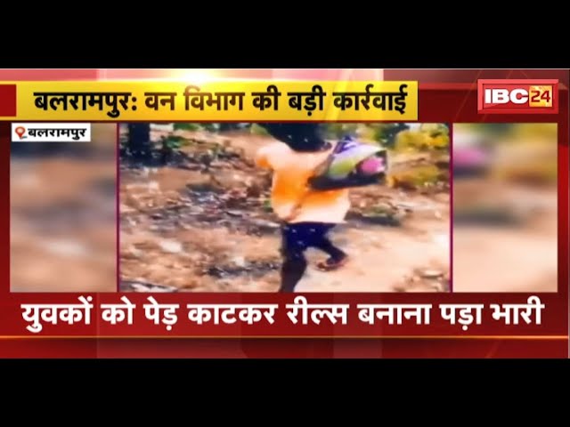 Balrampur News: पेड़ काटकर Reels बनाना युवकों को पड़ा भारी। वन विभाग ने की बड़ी कार्रवाई। देखिए..