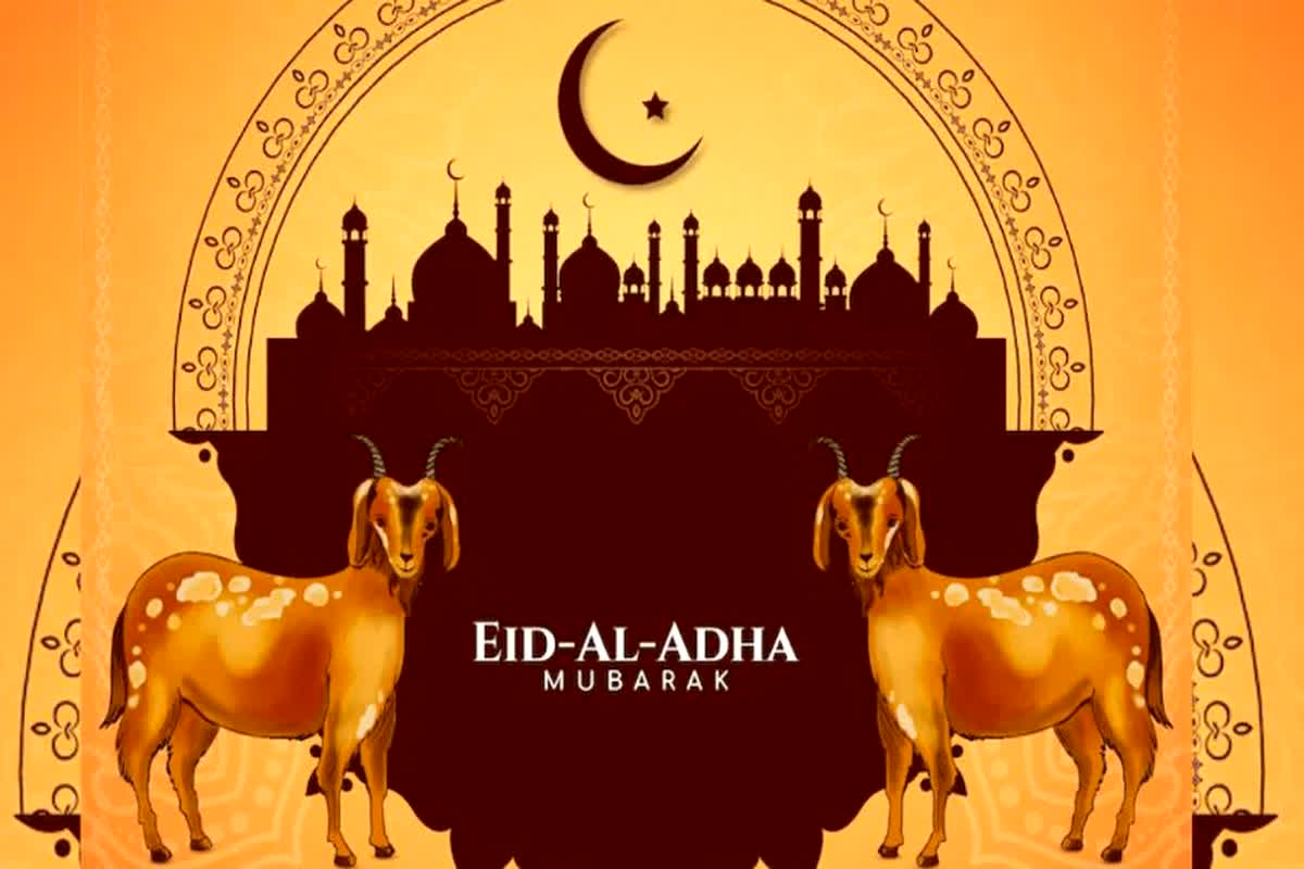 Bakrid 2024 Wishes : आज है बकरीद का त्योहार, इस खास मौके पर अपने दोस्तों और रिश्तेदारों को भेजें ये शुभकामना संदेश | Eid ul-Adha Shayari