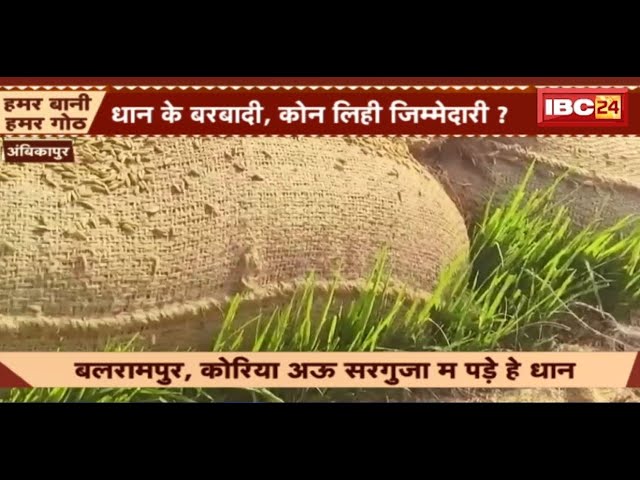 Ambikapur News: 5 महीना ले नइ होय हे धान के उठाव। समिति म रखे धान होवत हे बरबाद