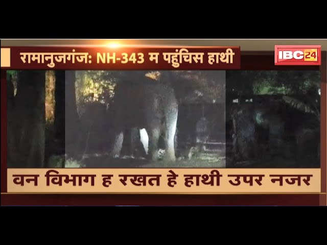 Ramanujganj Elephant News: दल ले बिछड़ के NH-343 म पहुंचिस हाथी। वन विभाग रखत हे हाथी उपर निगरानी