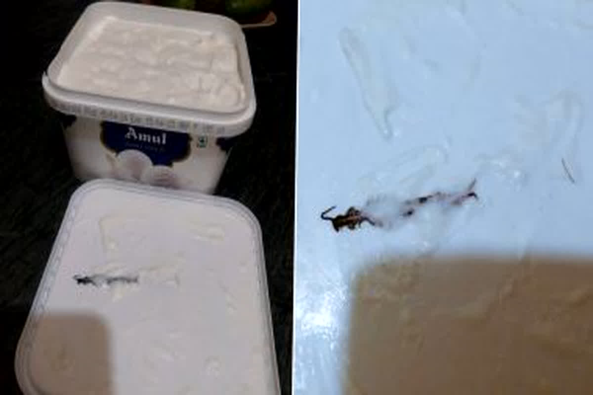 Centipede Found in Ice-cream: आइसक्रीम के अंदर निकला कनखजूरा, महिला ने की कार्रवाई की मांग