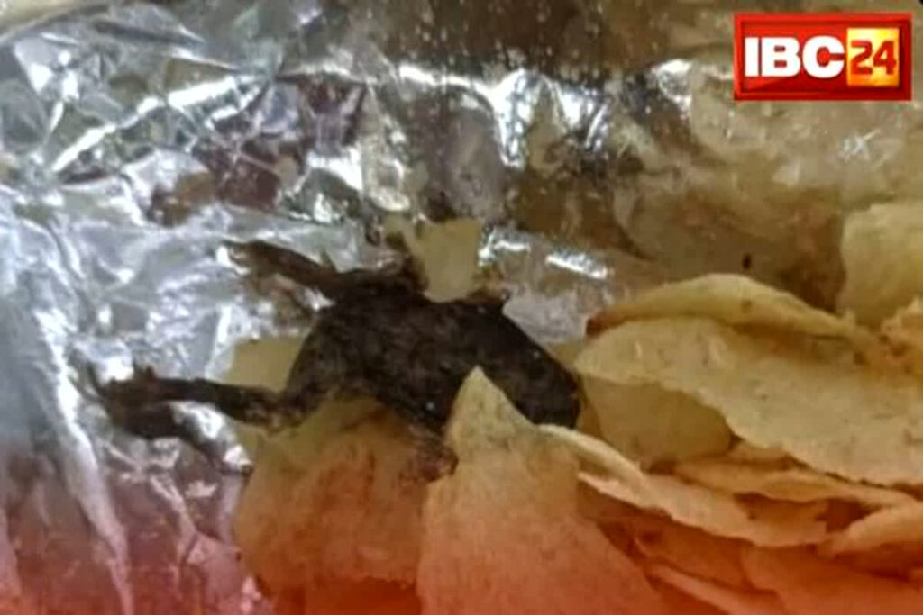 Frog in Chips Packet