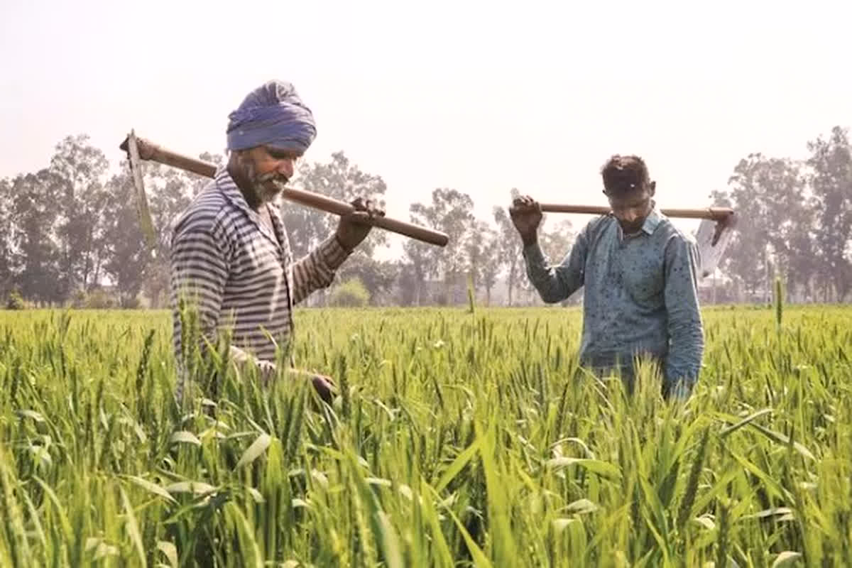 Government Scheme: किसानों को मालामाल कर देगी केंद्र सरकार की ये खास स्कीम, ऐसे उठाएं लाभ…