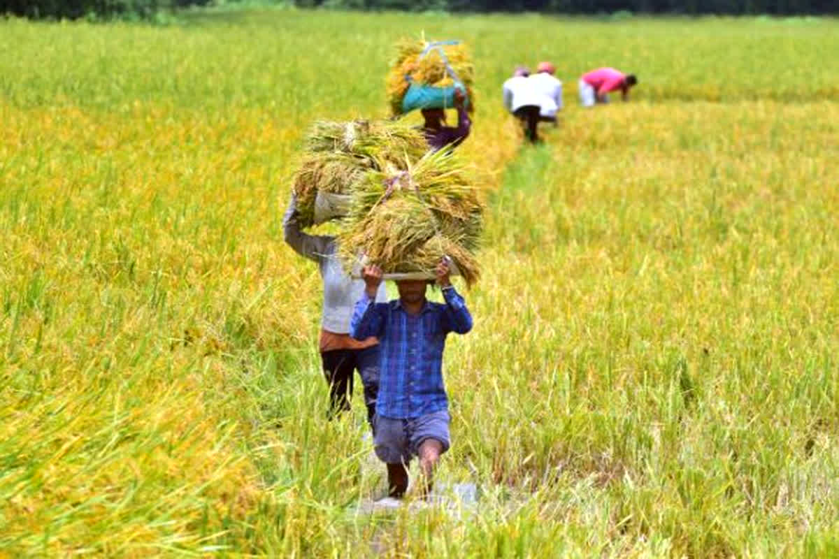 Govt Scheme: केंद्र सरकार की इस खास योजना से किसानों को मिलेगा जबरदस्त फायदा, कुछ ही दिनों में बन जाएंगे मालामाल