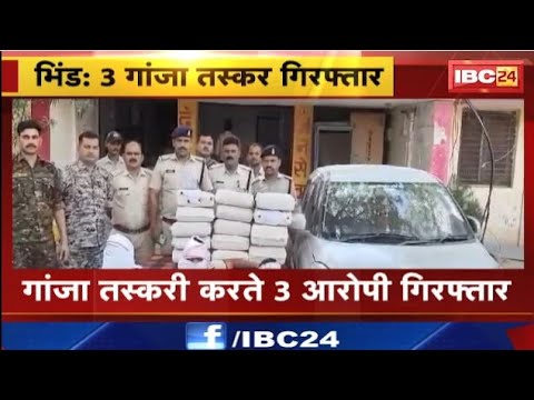 Bhind Ganja Taskari News: गांजा तस्करी करते 3 आरोपी गिरफ्तार। तस्कर छत्तीसगढ़ लेकर आ रहे थे गांजा