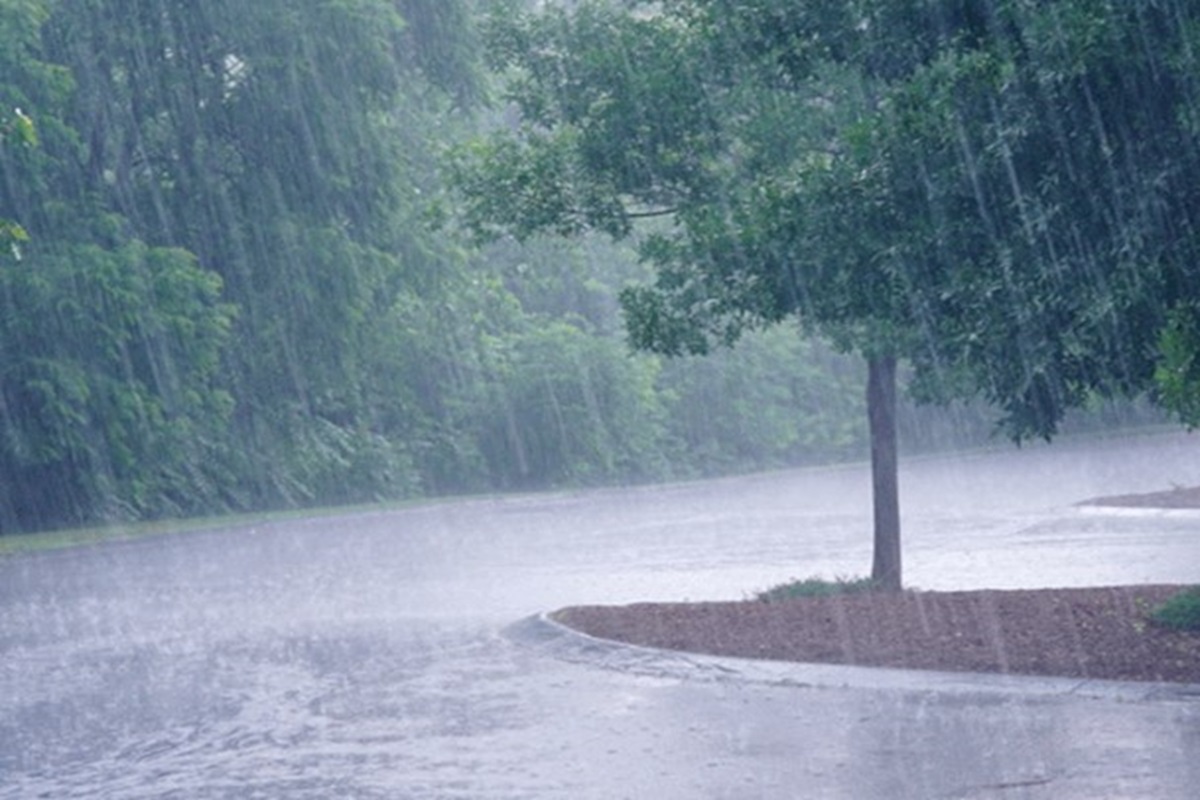 Monsoon Update: मानसून ने दी दस्तक! इन जिलों में होगी झमाझम बारिश, IMD का ऑरेन्ज अलर्ट जारी…