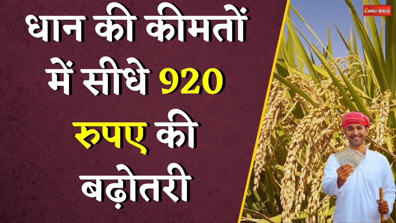 किसानों के लिए खुशखबरी, धान की MSP में सीधे 920 रुपए की बढ़ोतरी, भाजपा सरकार ने लिया बड़ा फैसला