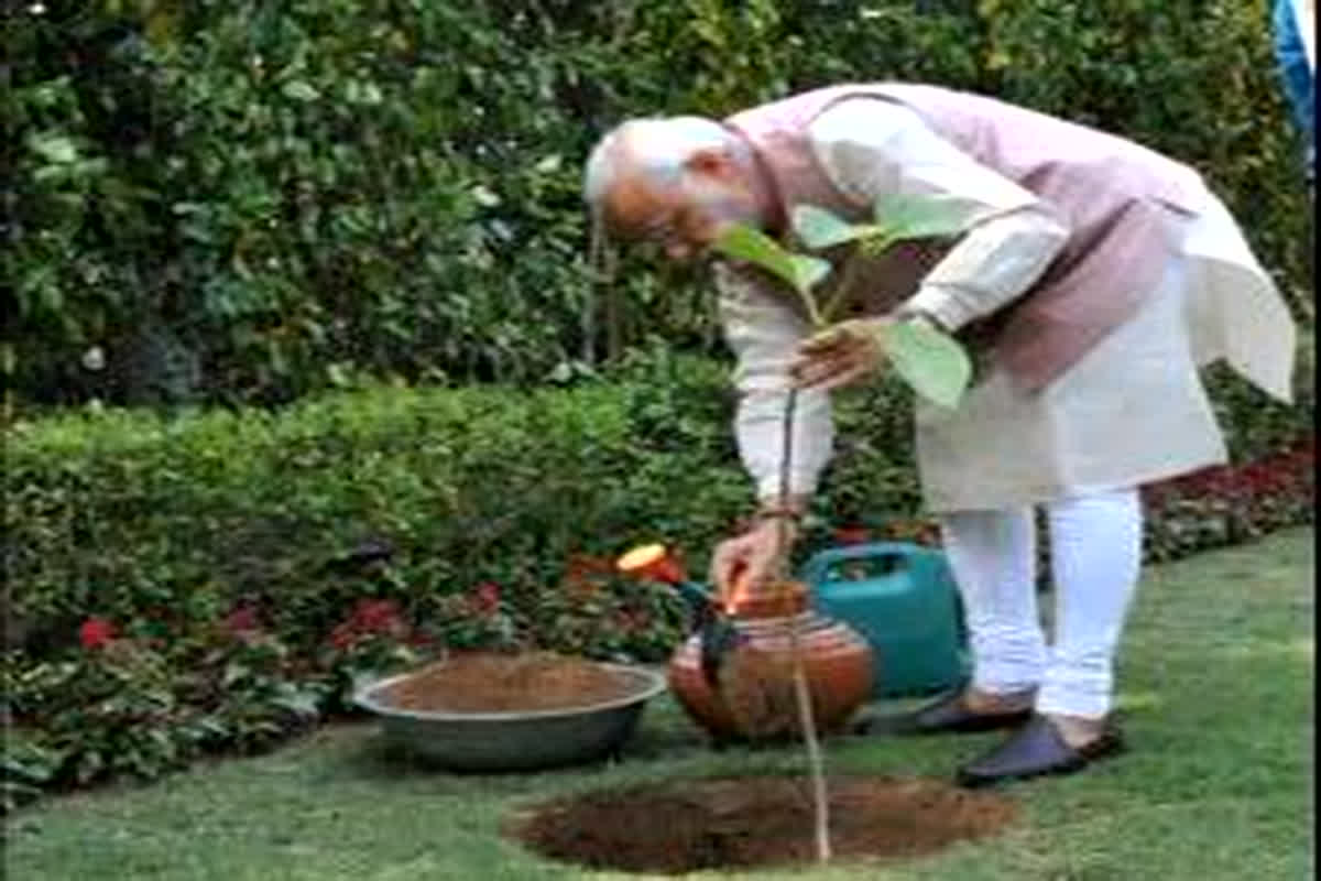 Ek Ped Maa Ke Naam: PM मोदी ने की ‘एक पेड़ मां के नाम’ अभियान की शुरुआत, देश भर में पौधारोपण के प्रति लोगों करेंगे जागरूक