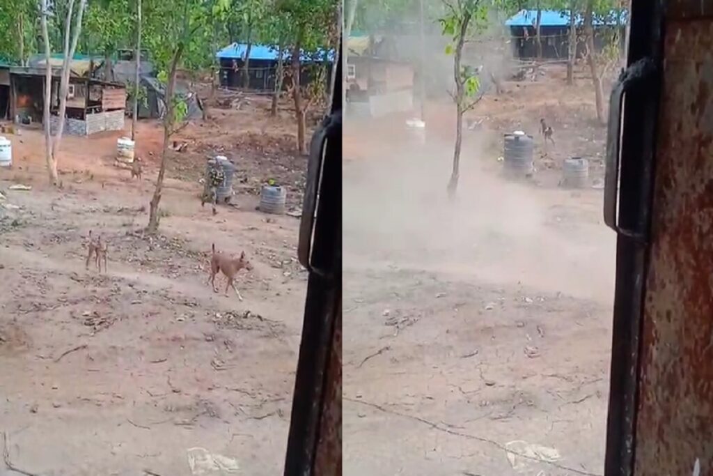 Naxal Encounter Live Video