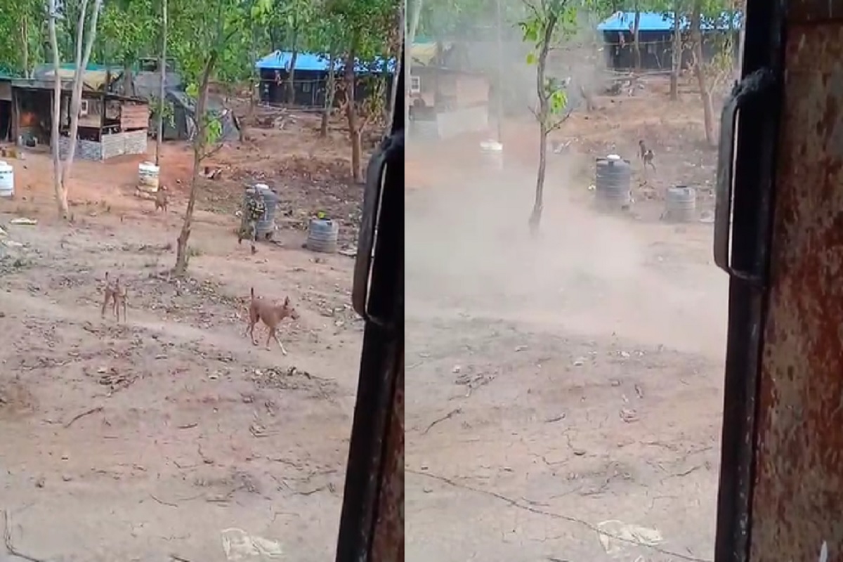 Naxal Encounter Live Video: सुरक्षाबलों और नक्सलियों के हमले का लाइव वीडियो आया सामने, देखकर दहल जाएगा आपका दिल