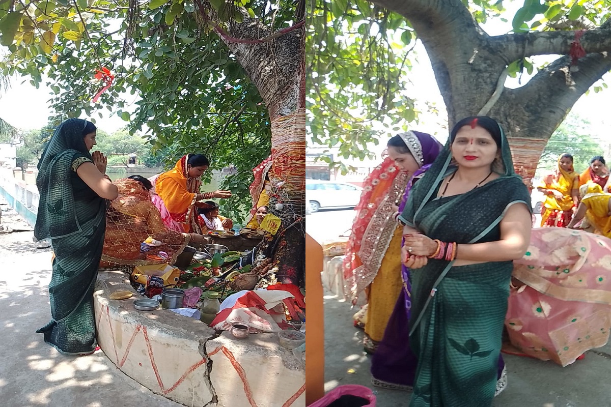 Vat savitri puja: महिलाओं ने रखा वट सावित्री व्रत, बरगद की पूजा कर पति के दीर्घायु होने की कामना की