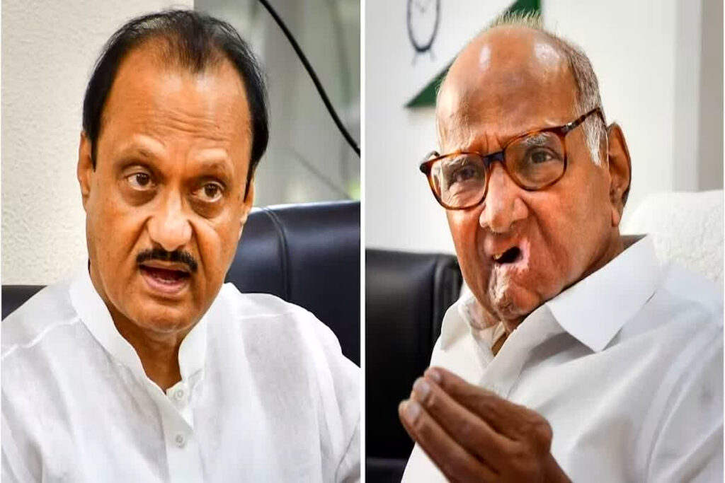 Maharashtra Assembly Election 2024