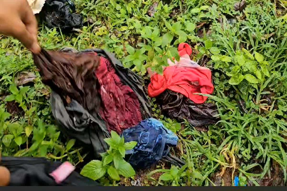 Ladies Undergarments Chor: महिलाओं के अंडरगारमेंट्स चोरी कर शख्स ने जंगल में किया था जमा, ढेर देखकर पुलिस के भी उड़ गए होश