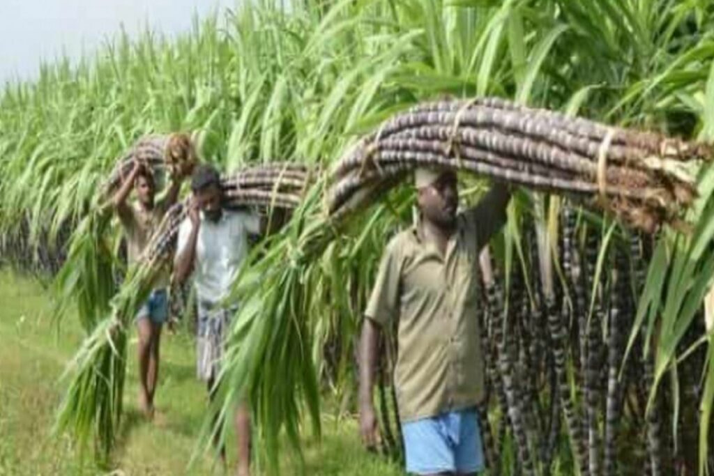 Government increased MSP Latest Order