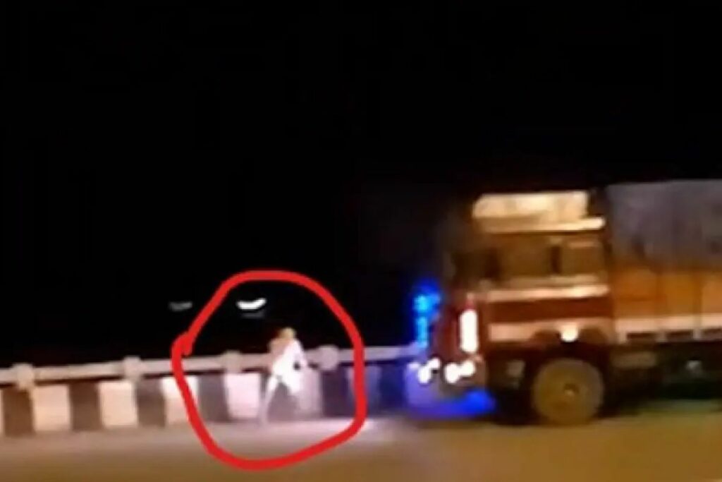 Mahasamund gau taskari viral video