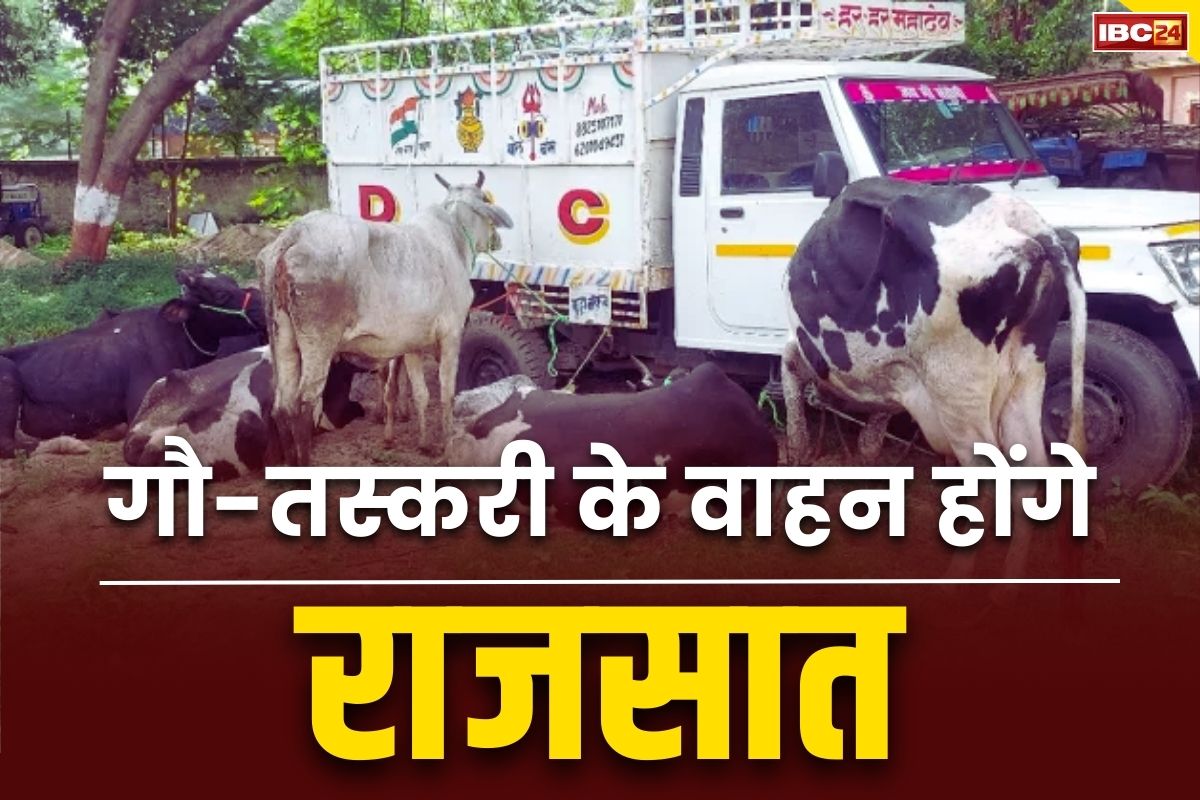 CG Govt on Cow Smuglling: गाड़ी भी राजसात, गाड़ी मालिक भी पहुंचेगा जेल.. गौ-तस्करी के कानूनों को प्रदेश में किया गया सख्त