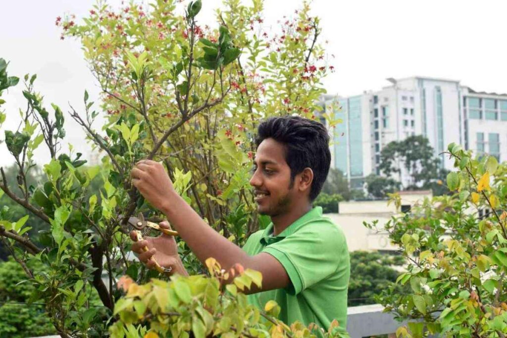 Gardener Training Program Online Registration 2024