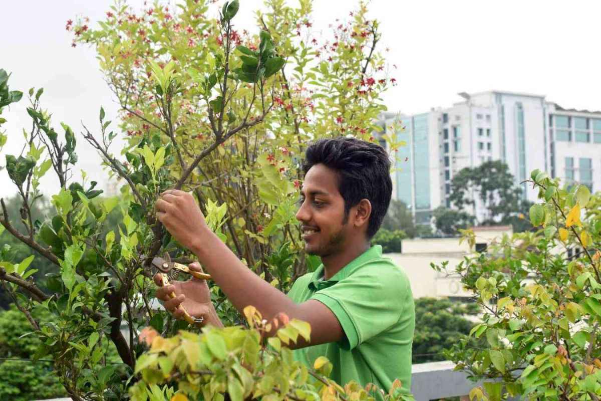 Gardeners Training Program: ट्रेनिंग के साथ 17 हजार 500 रुपये देगी सरकार.. अब खुलेगी युवाओं की किस्मत, बनेंगे आत्मनिर्भर