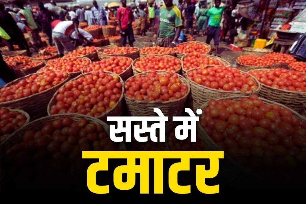 Tomato sale by govt of india | tomato price today