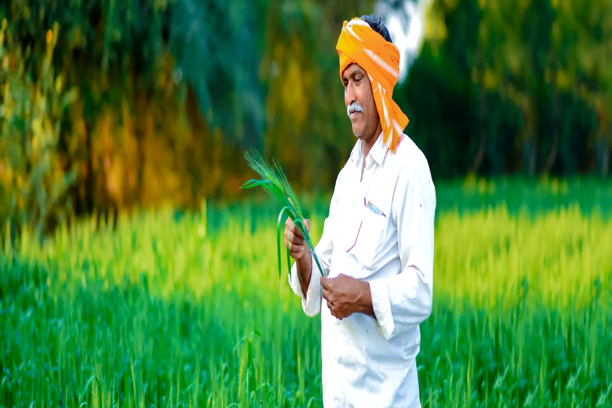 अब इस दिन तक फसल बीमा करवा सकेंगे किसान, छत्तीसगढ़ सरकार के प्रस्ताव पर केंद्र सरकार ने बढ़ाई तारीख 