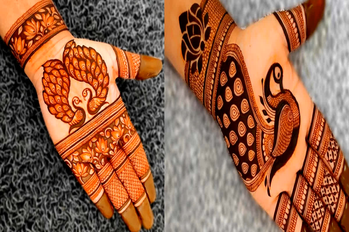 Peacock Mehndi Design: सावन तीज पर हाथों पर खूब जंचेगी मोर वाली मेहंदी डिजाइन, सुंदरता मोह लेगी मन