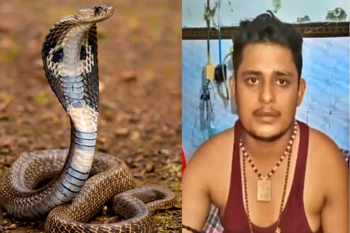 Saanp ne di Dhamki: ‘जो करना है कर ले, तेरा मरना तो तय है..’, युवक के सपने में आया सांप, बोला इस दिन करूंगा तेरा खेल खत्म