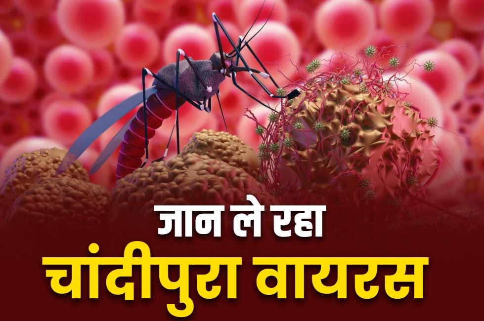 Chandipura Virus