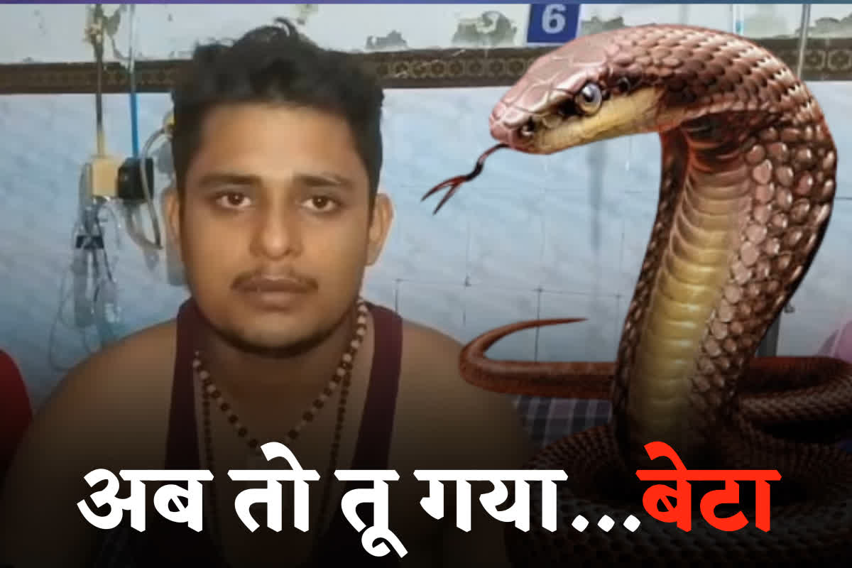 Badla Nagin Ka: बदला नागिन का…युवक को सांप ने 7वीं बार डसा, सिर्फ दो लाइफ लाइन है बाकी? सांप ने कहा- 9वीं बार में नहीं बचेगा
