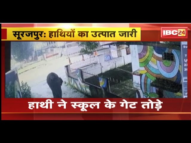 Surajpur Elephant News: रिहायशी इलाके में घुसा हाथी। जमकर मचाया उत्पात..स्कूल के गेट तोड़े