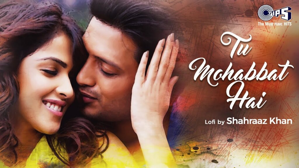 Tu Mohabbat Hai Lofi Song Tere Naal Love Ho gaya