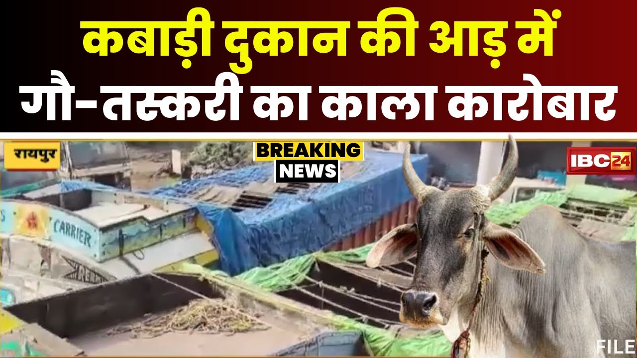 Raipur News: नाम कबाड़ी..काम गौ तस्करी। मिश्रा जी के नाम से दुकान खोलकर सलीम कर रहा था गौ तस्करी
