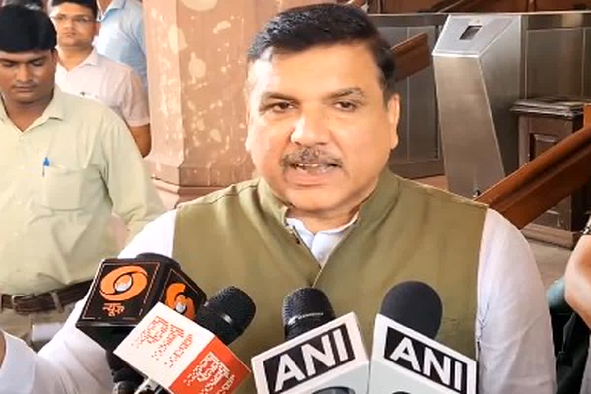 Parliament Session 2024: राज्यसभा में हंगामे पर AAP सांसद का बड़ा बयान, बोले- मेरा भाषण हुआ तो.. भाजपा चीखने-चिल्लाने लगी