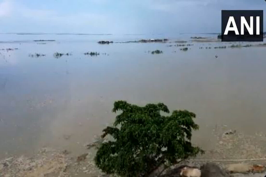Assam Flood Video