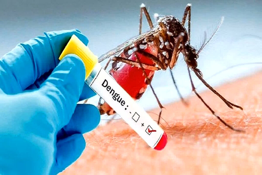 Dengue Declared Epidemic