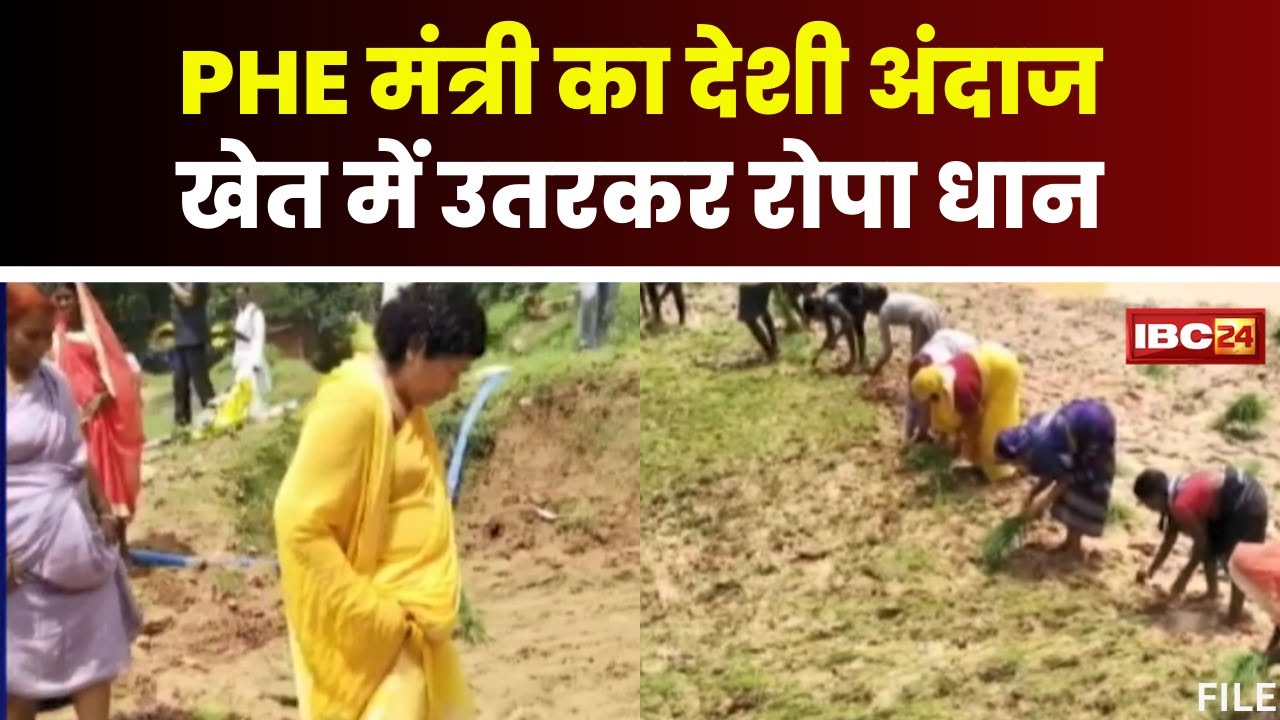 Mandla News: PHE मंत्री Sampatiya Uikey का देशी अंदाज। खेत के दलदल में उतरकर की धान की रोपाई