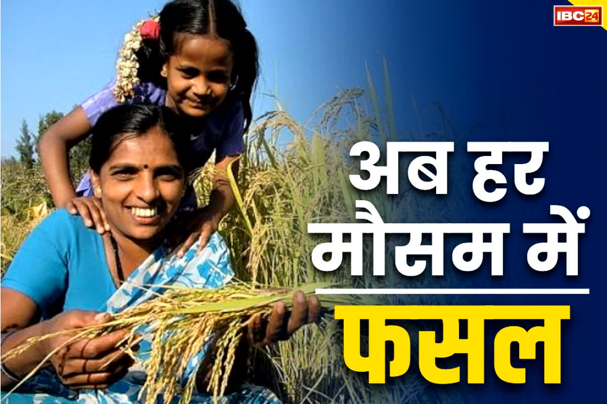 Pradhan Mantri Krishi Sinchai Yojana online registration 2024: हर अब मौसम लहलहायेगी फसल.. किसानों को कृषि यंत्रों में मिलेगी 80 फ़ीसदी तक की सब्सिडी, आसानी से होगा रजिस्ट्रेशन..