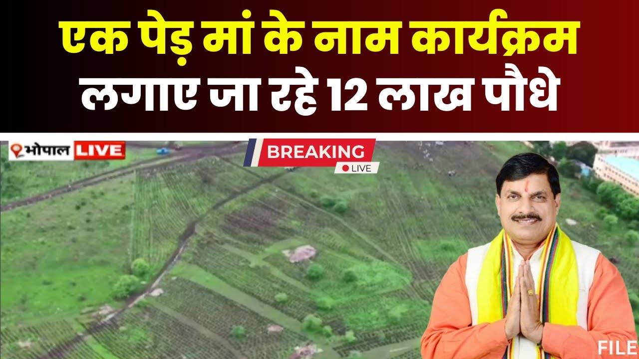MP News LIVE: एक पेड़ मां के नाम कार्यक्रम। पौधारोपण कार्यक्रम में शामिल हुए Cm Mohan Yadav। देखिए..