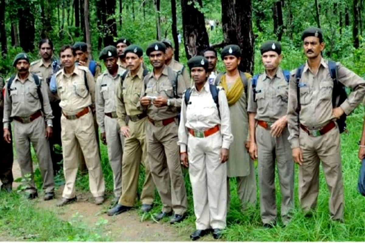 JPSC Forest Vacancy 2024: फॉरेस्‍ट रेंज ऑफ‍िसर बनने का सुनहरा अवसर, यहां निकली बंपर वैकेंसी, मिलेगी मोटी सैलरी